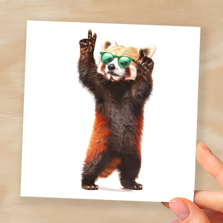 Birthday Card for Him Birthday Card For Brother or Son Birthday Card For Sister or Daughter Fun Birthday Card Of A Red Panda With Sunglasses