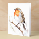 Robin Notelet Card For Anyone Cute Any Occasion Card For Her or For Him 5x7, A6 Card For Birthday or Easter Card Thank You Card Wildlife