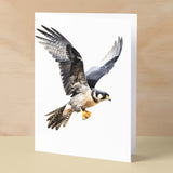 Peregrine Falcon Notelet Card For Anyone Any Occasion Card For Her or For Him 5x7, A6 Card For Birthday or Easter Card Thank You Card Wildlife