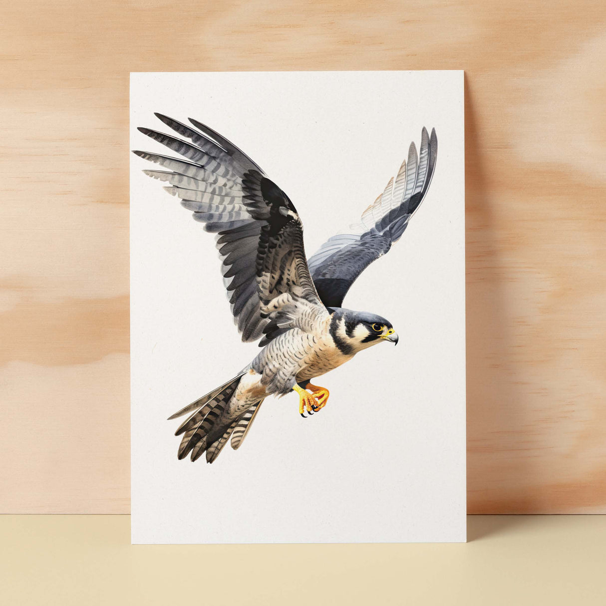 Peregrine Falcon Notelet Card For Anyone Any Occasion Card For Her or For Him 5x7, A6 Card For Birthday or Easter Card Thank You Card Wildlife