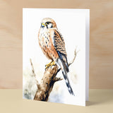 Kestrel Notelet Card For Anyone Any Occasion Card For Her or For Him 5x7, A6 Card For Birthday or Easter Card Thank You Card Wildlife