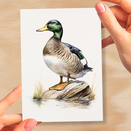 Duck Notelet Card For Anyone Any Occasion Card For Her or For Him 5x7, A6 Card For Birthday or Easter Card Thank You Card Wildlife