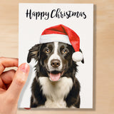 Christmas Card For Him or Her Christmas Card With A Dog Collie Dog Christmas Card For Anyone Friend Fun Christmas Card of a Dog