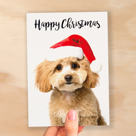 Christmas Card For Him or Her Christmas Card With A Dog Cute Poodle Christmas Card For Anyone Friend Fun Christmas Card of a Dog