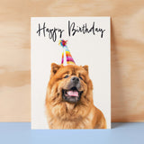 Birthday Card For Her Card For Friend Mum or Sister Birthday Card For Him Brother Dad Happy Birthday Card of Chow Chow Dog Fun Birthday Card