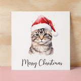 Fun Christmas Card of a Tabby Cat Wearing A Santa Hat Whimsical Watercolour Christmas Card For Animal Lover For Him or Her