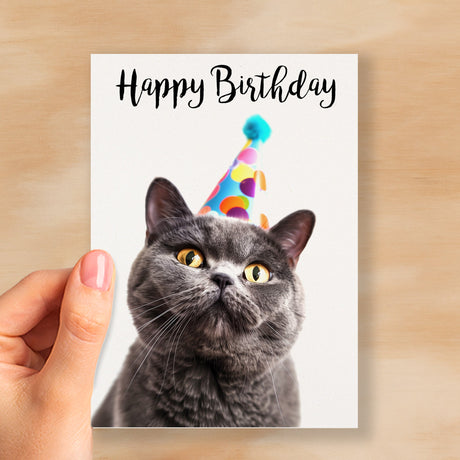 Birthday Card For Anyone Birthday Card For Friend Birthday Card For Her or For Him British Short Hair Cat Birthday Card For Son or Daughter