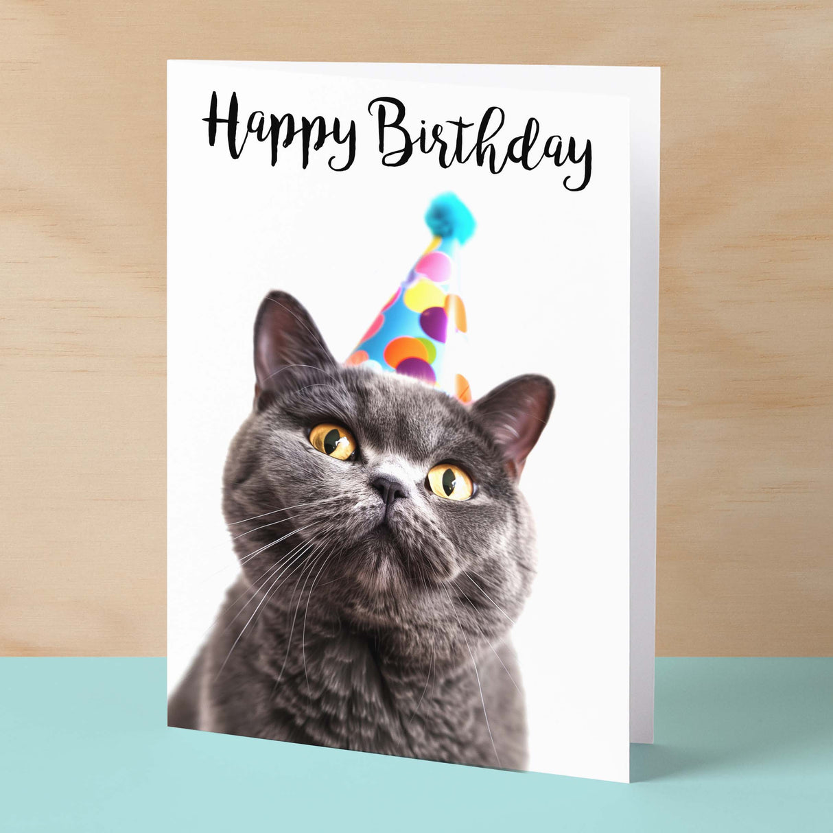 Birthday Card For Anyone Birthday Card For Friend Birthday Card For Her or For Him British Short Hair Cat Birthday Card For Son or Daughter