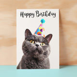 Birthday Card For Anyone Birthday Card For Friend Birthday Card For Her or For Him British Short Hair Cat Birthday Card For Son or Daughter