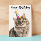 Birthday Card For Anyone Birthday Card For Friend Birthday Card For Her or For Him Persian Longhair Cat Birthday Card For Son or Daughter