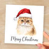 Fun Christmas Card of a Scotish Fold Wearing A Santa Hat Whimsical Watercolour Christmas Card For Animal Lover For Him or Her