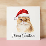 Fun Christmas Card of a Scotish Fold Wearing A Santa Hat Whimsical Watercolour Christmas Card For Animal Lover For Him or Her