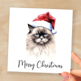 Fun Christmas Card of a Ragdoll Cat Wearing A Santa Hat Whimsical Watercolour Christmas Card For Animal Lover For Him or Her