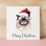 Fun Christmas Card of a Ragdoll Cat Wearing A Santa Hat Whimsical Watercolour Christmas Card For Animal Lover For Him or Her