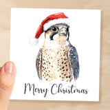 Fun Christmas Card of a Peregrine Falcon Wearing A Santa Hat Whimsical Watercolour Christmas Card For Bird Lover For Him or Her