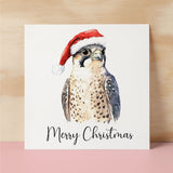 Fun Christmas Card of a Peregrine Falcon Wearing A Santa Hat Whimsical Watercolour Christmas Card For Bird Lover For Him or Her