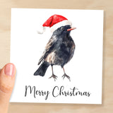 Fun Christmas Card of a Black Bird Wearing A Santa Hat Whimsical Watercolour Christmas Card For Bird Lover For Him or Her