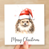 Fun Christmas Card of a Hedgehog Wearing A Santa Hat Whimsical Watercolour Christmas Card For Animal Lover For Him or Her