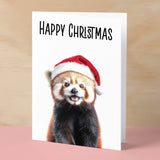 Fun Christmas Card of a Red Panda Wearing A Santa Hat Whimsical Christmas Card For Animal Lover For Him or Her