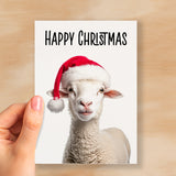 Fun Christmas Card of a Sheep Wearing A Santa Hat Whimsical Christmas Card For Animal Lover For Him or Her