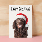 Fun Christmas Card of a Chocolate Cocker Spaniel Dog Wearing A Santa Hat Whimsical Christmas Card For Animal Lover For Him or Her