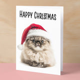 Fun Christmas Card of a Persian Cat Wearing A Santa Hat Whimsical Christmas Card For Animal Lover For Him or Her