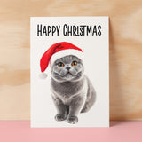 Fun Christmas Card of a British Shorthair Cat Wearing A Santa Hat Whimsical Christmas Card For Animal Lover For Him or Her