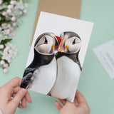 Anniversary Card – Cute Puffins Card for Husband, Wife, Boyfriend or Girlfriend