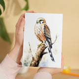 Kestrel Notelet Card For Anyone Any Occasion Card For Her or For Him 5x7, A6 Card For Birthday or Easter Card Thank You Card Wildlife