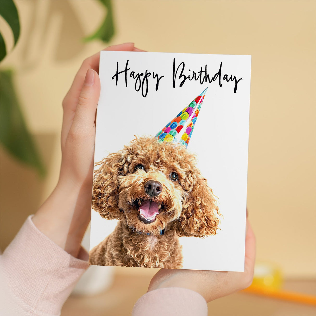 Birthday Card For Her Card For Friend Mum or Sister Birthday Card For Him Brother Dad Happy Birthday Card of Poodle Dog Fun Birthday Card