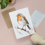 Robin Notelet Card For Anyone Cute Any Occasion Card For Her or For Him 5x7, A6 Card For Birthday or Easter Card Thank You Card Wildlife