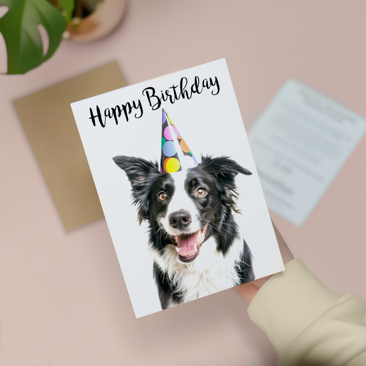 Birthday Card For Him or Her Fun Birthday Card of A Collie Dog Happy Birthday Card For Mum, Dad, Sister Brother