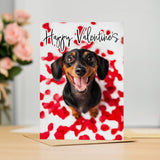 Valentine's Day Card, Dachshund Design, From The Dog, Perfect For Him or Her