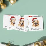 Pack of 5 Christmas Cards Of A Whimsical Golden Retriever Wearing A Santa Hat