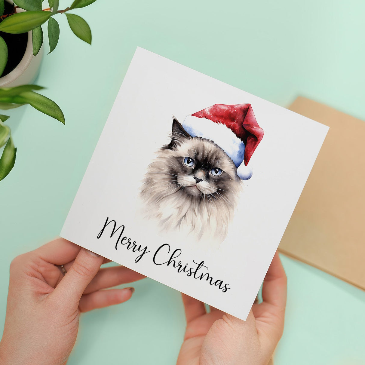 Fun Christmas Card of a Ragdoll Cat Wearing A Santa Hat Whimsical Watercolour Christmas Card For Animal Lover For Him or Her